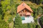 Casa 3 camere, 840 mp teren care include padure, Paltinis - 2