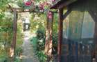Casă de Vânzare Lumina | 6 Camere și Teren Generos - 17