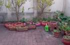 2 camere | Bucurestii Noi | Bazilescu | 16 Feb | Curte proprie 50 mp - 10