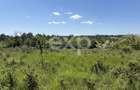 Intravilan 3015 mp Moșoaia | 48 ml deschidere | Lângă pădure - 6