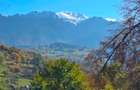  Oportunitate.Casă de locuit/casă de vacanță Bran Poarta