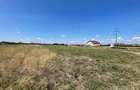 TEREN | 1391MP | SANMARTIN | BIHOR - 2