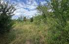 Teren intravilan, 3694 mp., zona Primaria Bocsa, COMISION ZERO% PT. CUMPARATOR. - 10
