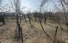 Parcele de 400 mp intravilan str. Olteni, Mosoaia, Arges - 1