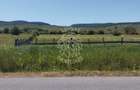 Teren 700 mp cu utilitati-panoramic-Livezile - 1