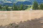 Teren 18.933 mp, parcelabil, zona Vatra Dornei - 8