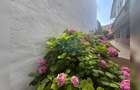 FARA COMISION! Apartament 2 camere renovat premium, CENTRAL, zona SORA - 17
