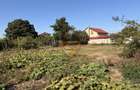 Casă cu teren generos de 1.400 mp – Palazu Mare,