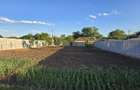 Vila, P+1, 9 camere, 140mp utili, 1.400mp, orasul Corabia, judetul Olt - 2