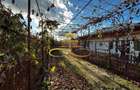 Casa batraneasca din caramida de vanzare si 4500 mp teren Negri Bacau - 16