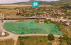 Teren intravilan 10.000 mp. în Pauliș - 3
