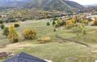 Teren intravilan 1250mp  cu PUZ in Cisnădioara - 4