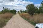 Terenuri Intravilane 1.000 mp - Str. Viilor - Zona de case P + 2 - 1