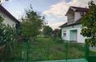 Casa P+M cu teren generos si loturi suplimentare in Baia de Cris - 20