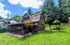 Cabană – Mureș – Sălard – Zona Pensiunea Denisa - 1