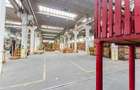 Hala industriala de 2700mp cu 3,1 ha teren intravilan in Miercurea Sibiului - 18
