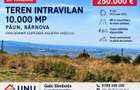 TEREN INTRAVILAN 10.000 MP, BUCIUM PĂUN, P+2E, PANORAMĂ IAȘI, 25 EURO/MP - 1