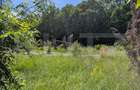 Hulubești, Butoiu de Jos Teren intravilan cu Panoramă Superbă către Pădure - 3