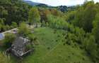 Teren 38,704mp Sirnea | 2.000 mp Intravilan | 36,704 Extravilan - 9