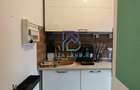 Soseaua Chitilei, zona Crusovat, casa 2 camere, baie, teren 60mp - 13