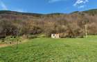 RECO Teren intravilan zona Bulz - 1