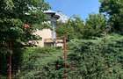 De Vânzare – Fermă de Pomi Fructiferi, 48,8 ha, Iancu Jianu, Jud. Olt - 27