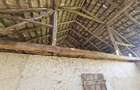Casa la tara cu 3 camere + teren intravilan Sup 962 mp, Colesti, Bihor - 15