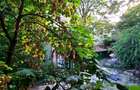 Apartament 2 camere | Pitar Mos | Stil interbelic | Centrala proprie - 18