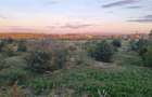 Teren 14100mp Braila zona Apan - 4