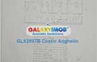 Apartament 3 camere Basarabia - Vedere Arena Nationala - 9