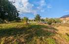 Teren intravilan 1.600 mp Mioveni – Zona Pruni - 6
