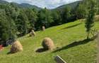 Vila 5 Camere Valea Doftanei Prahova Super View - 7