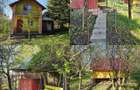 Proprietate 4200 mp Căndărăi cu cabană, livadă și anexe - 7