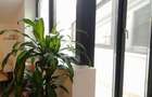 Inchiriere apartament 2 camere zona Matei Basarab - 12