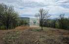 De vânzare teren intravilan – Bârsau, jud. Hunedoara - 2