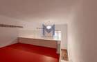 Apartament-galerie la kilometrul zero | 2 camere + mezanin, 2 băi - 10