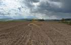 De vanzare doua loturi de teren in Fantanele-Bacau - 8
