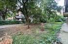 Teren intravilan 438 mp | PUD avizat S+P+2E | Floreasca - 11