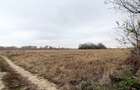 Vanzare teren intravilan, Bolintin Vale, 5.000 mp, 20 EUR  mp, comision 0% - 8