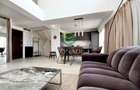 Duplex 2 camere Belvedere Residence - 7