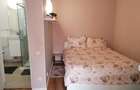 460€,, Romana Rosetti, centrala proprie, pet friendly - 10