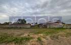 VANZARE TEREN 16.000 MP | 2 LOTURI | CONSTRUCTII EXISTENTE | ROSIORI DE VEDE - 3