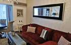 Apartment superb Victoriei - 2