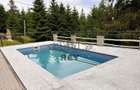 Casă de vacanță 9 camere de vânzare în Păltiniș cu piscina încălzită - 17