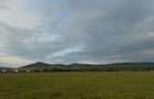 Zona Nord - Balta Pasune  - Teren extravilan- 5 800 mp - Aiud - 2