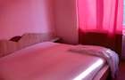 Proprietar inchiriez apartament 2 camere zona Complex Studențesc - 3