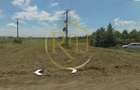 Teren intravilan 5.000 mp, Bucovăț, ideal dezvoltare case ! 0% Comision! - 8