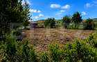 Teren de vanzare – 942 m2 | Zăvoaie,  Bistrita | Acces direct la raul Bistrita - 1