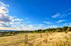 BETFIA! Aici începe pădurea, iar priveliștea nu se mai termină. Un teren rar!!!