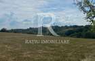 Teren Intravilan | 17.500 mp | Șinteu | Bihor - 2